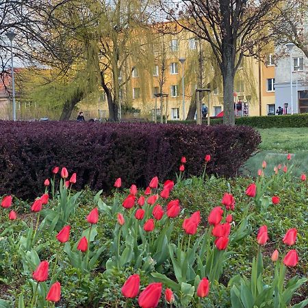 Mona Wrzeszcz Lejlighed Gdańsk Eksteriør billede